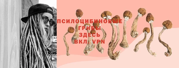 бошки Инта