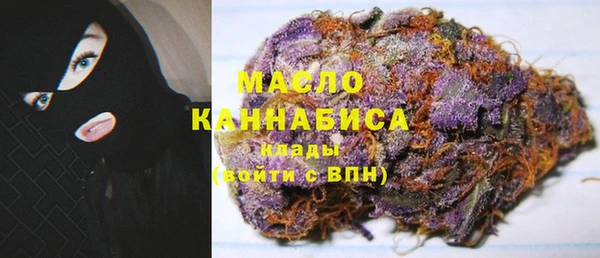 бошки Инта